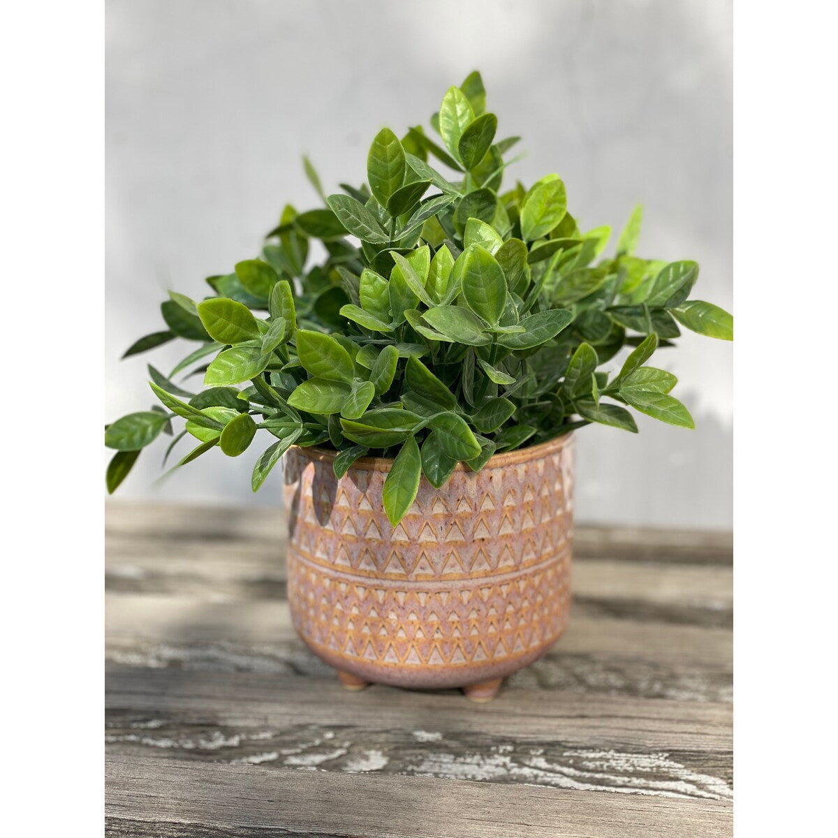 Tea Leaf in 5" MAUVE PHARAOH footed pot - ONE-SIZE