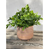Tea Leaf in 5" MAUVE PHARAOH footed pot - ONE-SIZE