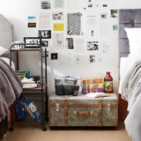 Texture® Brand Trunk - Black Ash by DormCo