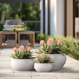 Textured Concrete Round Plant Pots / Large Indoor and Outdoor flower Planters