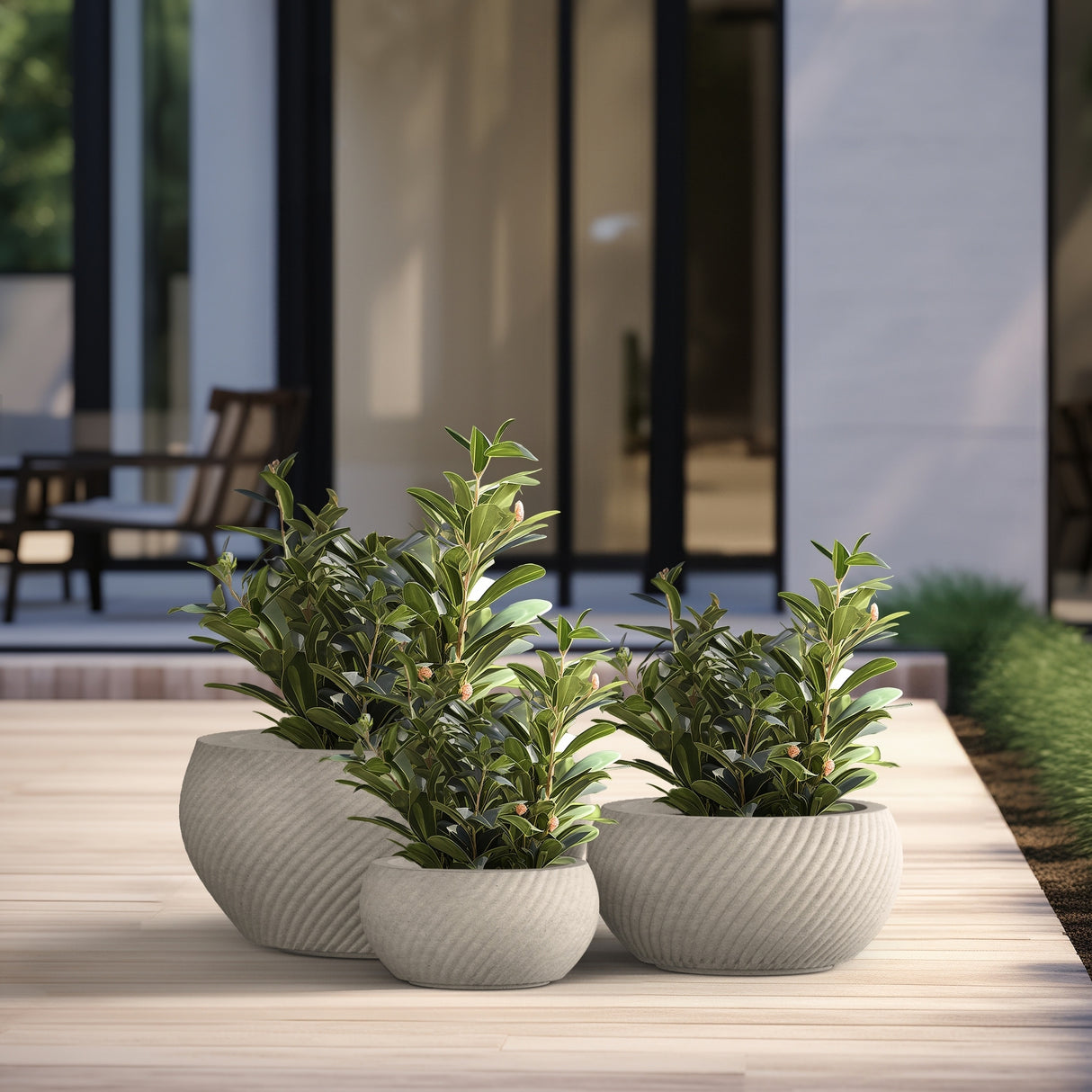 Textured Concrete Round Plant Pots / Large Indoor and Outdoor flower Planters