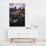 The King Photography Cactus Calico Cat Desert Nature Art Print/Poster