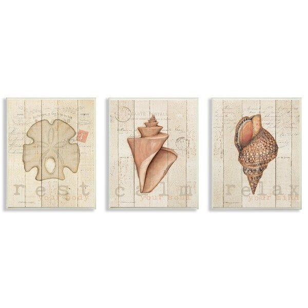 Stupell Neutral Tan Sand Dollar and Shells 3pc Multi Piece Wood Wall Art Set, 10 x 15 - 3pc, each 10 x 15