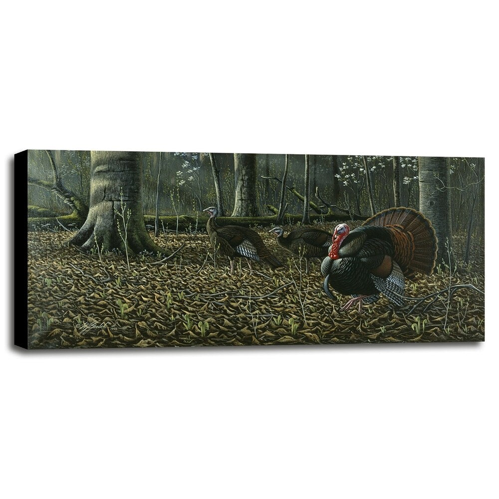 The Suitor - Wild Turkeys-WILGOE7327 Framed Print 18.75"x40.25" by Wilhelm Goebel