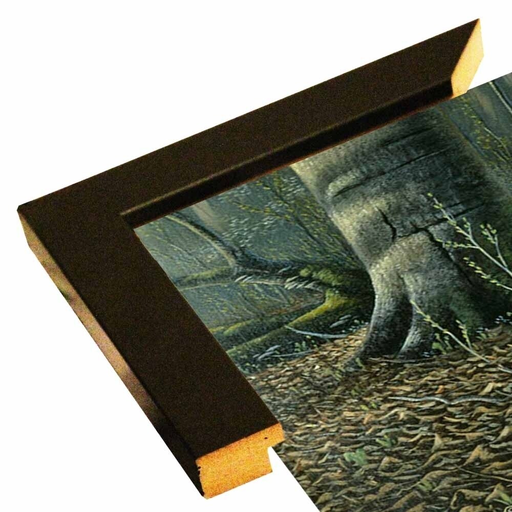 The Suitor - Wild Turkeys-WILGOE7327 Framed Print 18.75"x40.25" by Wilhelm Goebel