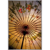 The Wood Umbrella-HARMSC53528 Print 14.5"x9.75" by Harold Silverman - Msc.