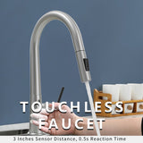 Topcraft Pull Down Stainless Steel Kitchen Faucet with Sprayer and Sensor