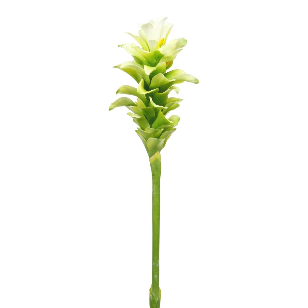 White 39-inch Torch Ginger Spray (Pack of 12)