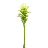 White 39-inch Torch Ginger Spray (Pack of 12)