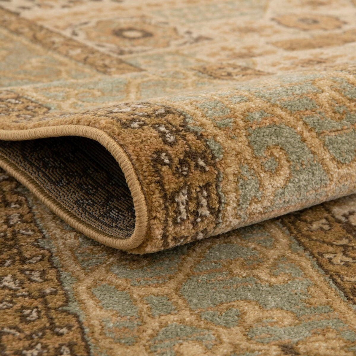 Traditional Cassia Collection Area Rug