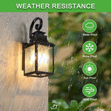 Traditional Large Outdoor Wall Lamps With Clear Bubble Glass lampshades, 2 pc