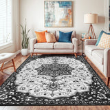 Traditional Medallion Area Rug