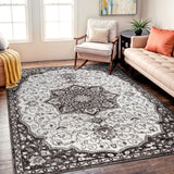 Traditional Medallion Area Rug