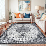 Traditional Medallion Area Rug