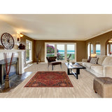 Traditional Shiraz Persian Vintage Area Rug Hand-Knotted Wool Carpet - 5'0"x 8'2"