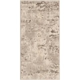 Transitional Cledo Collection Area Rug