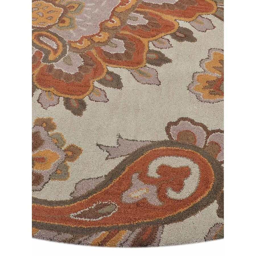 Transitional Paisley Hand Tufted Carpet Indian Oriental Wool Area Rug