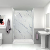 Transolid Expressions 32-in X 60-in X 96-in Glue to Wall Shower/Walls - 60" x 32" x 96"
