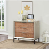 Treasure Trove Collins Brown and Champagne 3-drawer Chest with Power