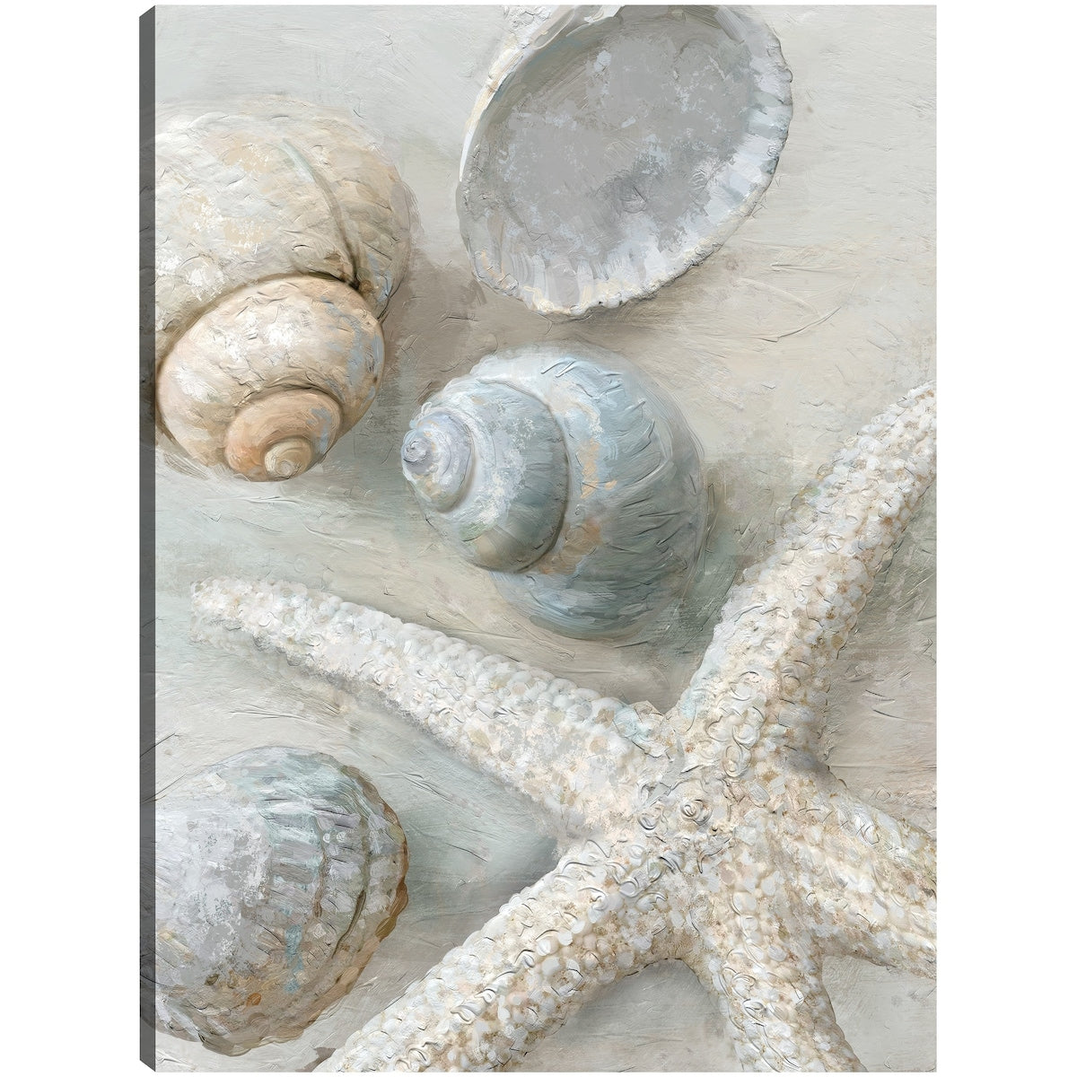 Treasures By Studio Arts Canvas Art Print