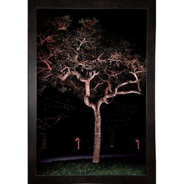 Tree Lights Plate #2-HARMSC53707 Print 18"x12" by Harold Silverman - Msc.