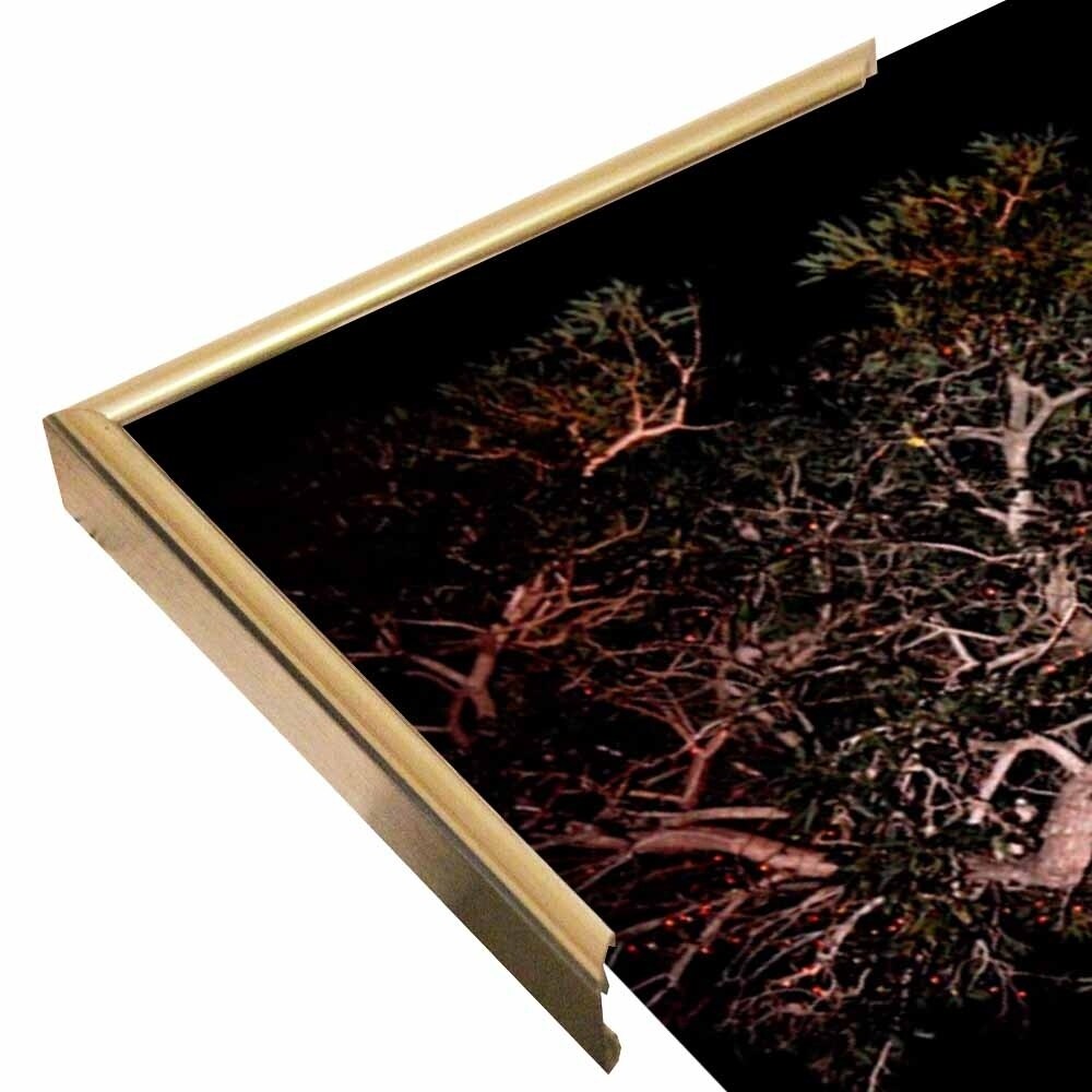 Tree Lights Plate #2-HARMSC53707 Print 18"x12" by Harold Silverman - Msc.