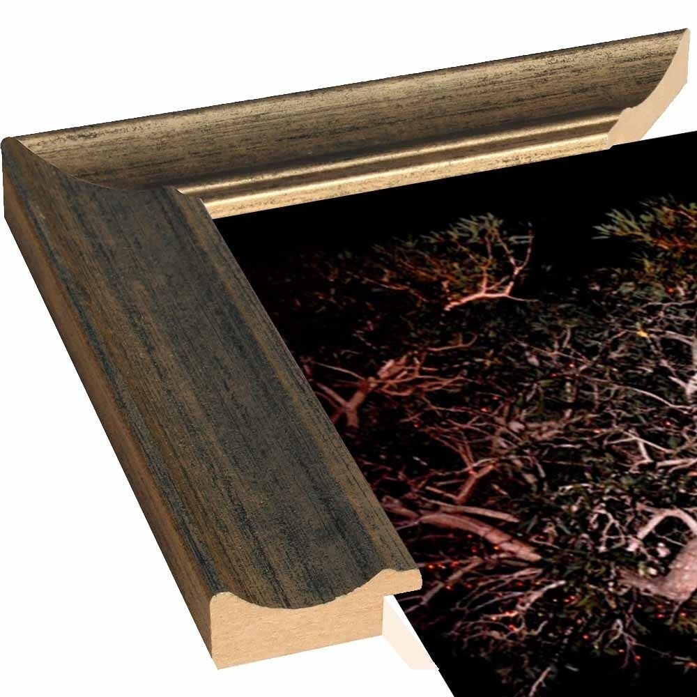Tree Lights Plate #2-HARMSC53707 Print 18"x12" by Harold Silverman - Msc.
