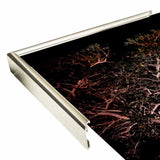 Tree Lights Plate #2-HARMSC53707 Print 18"x12" by Harold Silverman - Msc.