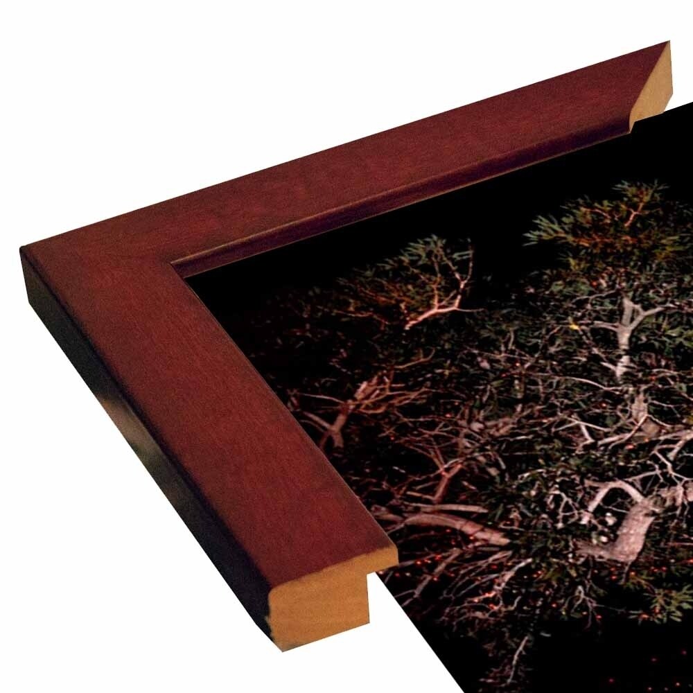 Tree Lights Plate #2-HARMSC53707 Print 18"x12" by Harold Silverman - Msc.