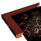 Tree Lights Plate #2-HARMSC53707 Print 18"x12" by Harold Silverman - Msc.