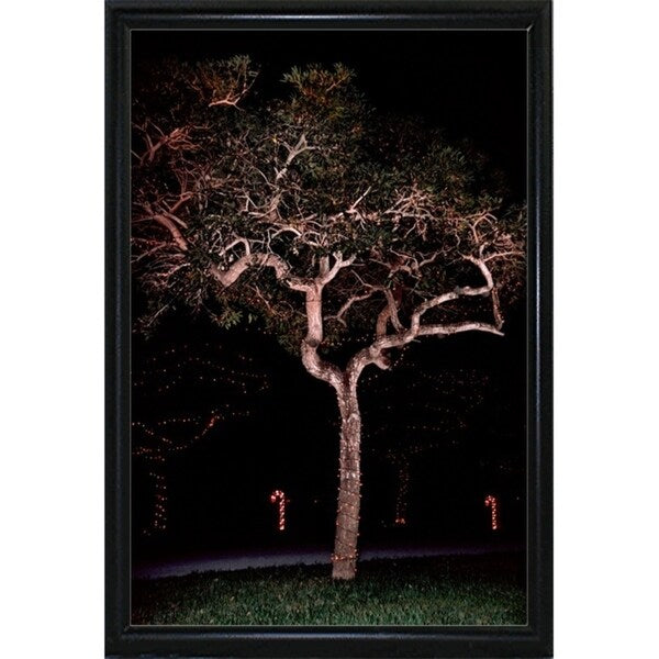Tree Lights Plate #2-HARMSC53707 Print 18"x12" by Harold Silverman - Msc.