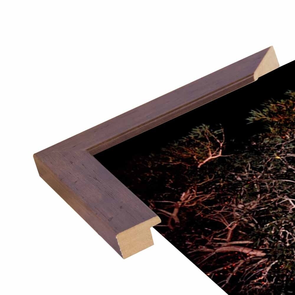 Tree Lights Plate #2-HARMSC53707 Print 18"x12" by Harold Silverman - Msc.