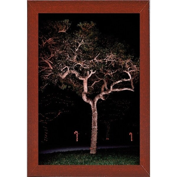 Tree Lights Plate #2-HARMSC53707 Print 18"x12" by Harold Silverman - Msc.
