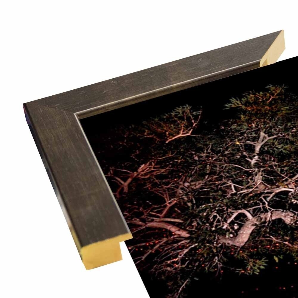 Tree Lights Plate #2-HARMSC53707 Print 18"x12" by Harold Silverman - Msc.
