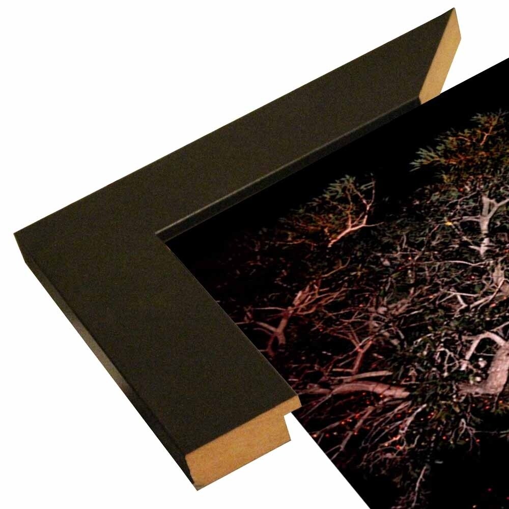 Tree Lights Plate #2-HARMSC53707 Print 18"x12" by Harold Silverman - Msc.