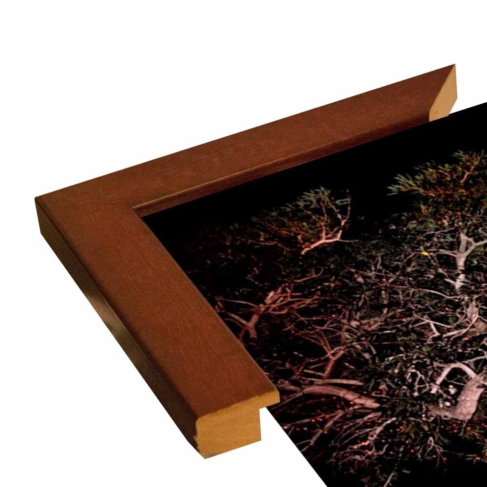 Tree Lights Plate #2-HARMSC53707 Print 18"x12" by Harold Silverman - Msc.