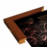 Tree Lights Plate #2-HARMSC53707 Print 18"x12" by Harold Silverman - Msc.