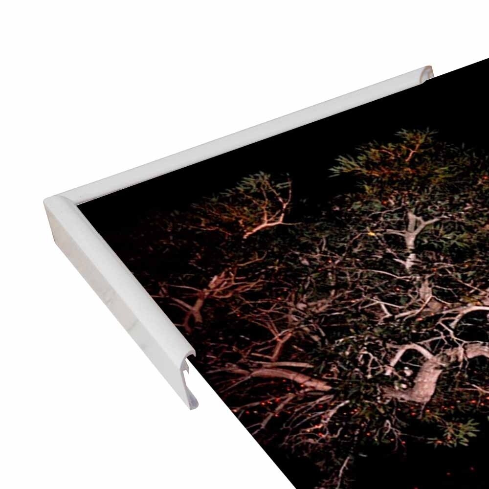Tree Lights Plate #2-HARMSC53707 Print 18"x12" by Harold Silverman - Msc.