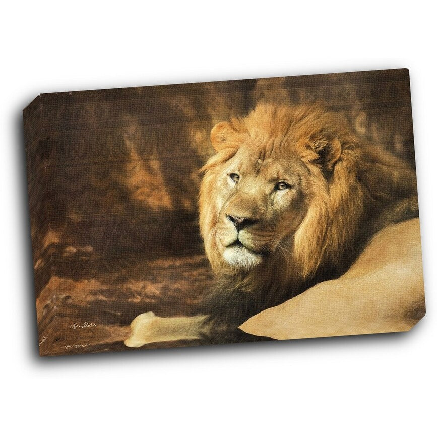 Tribal Lion 20x16 Gallery Wrapped Stretched Canvas