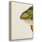 Tropical Fish Collection I - Multi Piece Framed Canvas