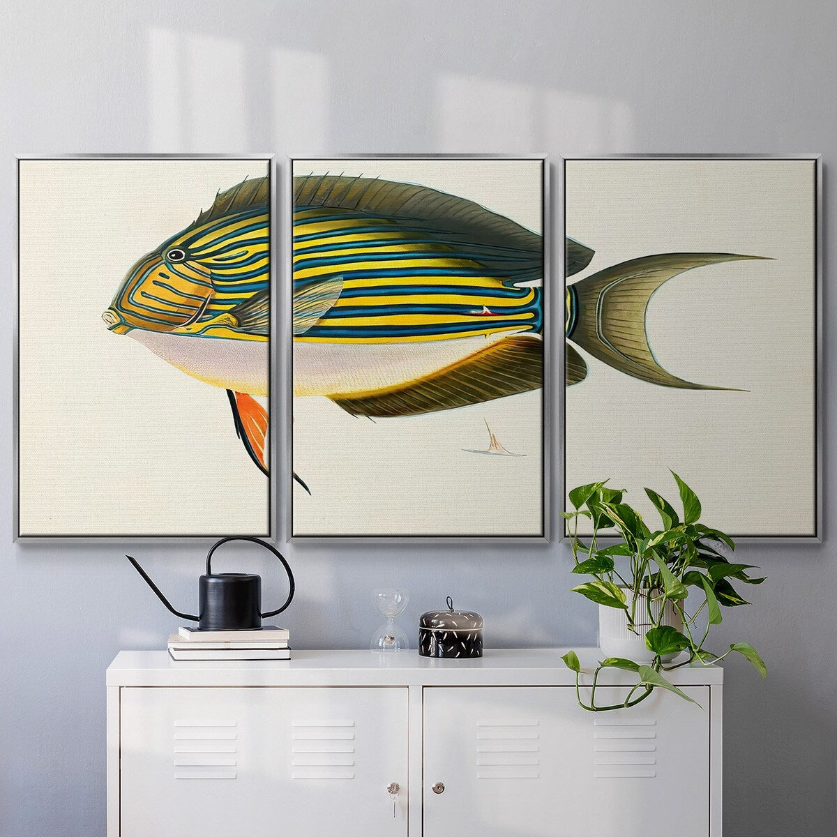 Tropical Fish Collection I - Multi Piece Framed Canvas