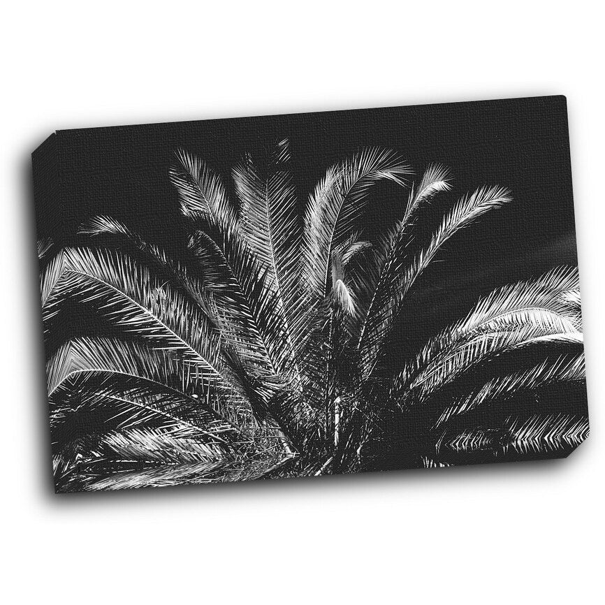 Tropical Night 20x16 Gallery Wrapped Stretched Canvas