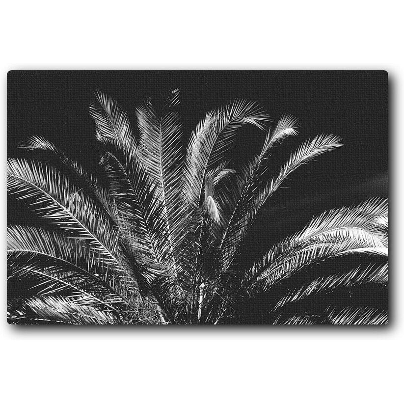 Tropical Night 20x16 Gallery Wrapped Stretched Canvas