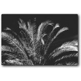Tropical Night 20x16 Gallery Wrapped Stretched Canvas