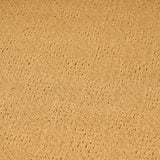 Troy Indoor/ Outdoor Border Area Rug by Christopher Knight Home - 130" L x 94" W x 1" H
