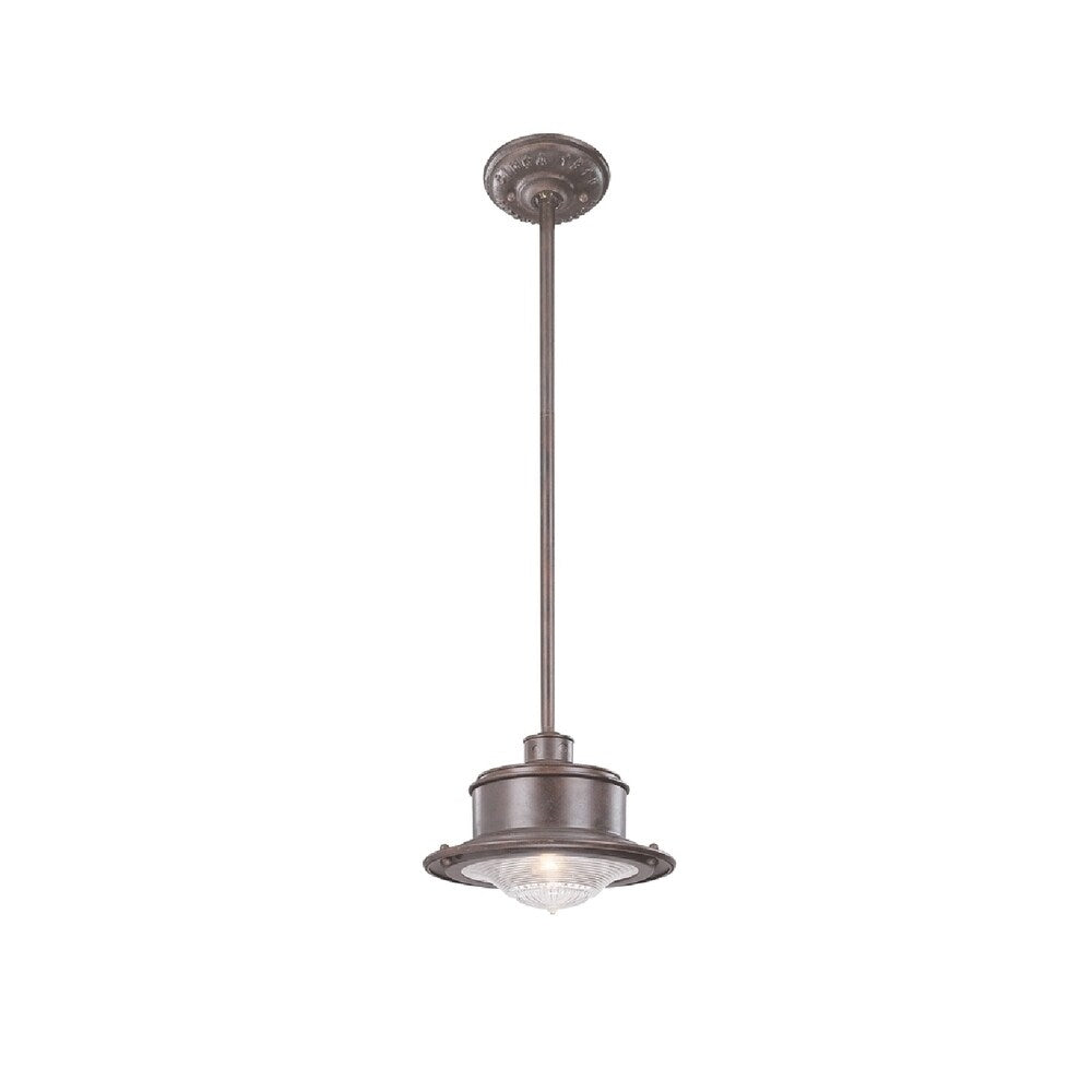 Troy Lighting South Street 1-light Small Hanging Downlight