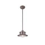 Troy Lighting South Street 1-light Small Hanging Downlight
