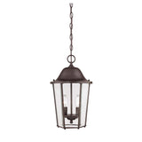 Truscott 2 Light Hanging Lantern English Bronze