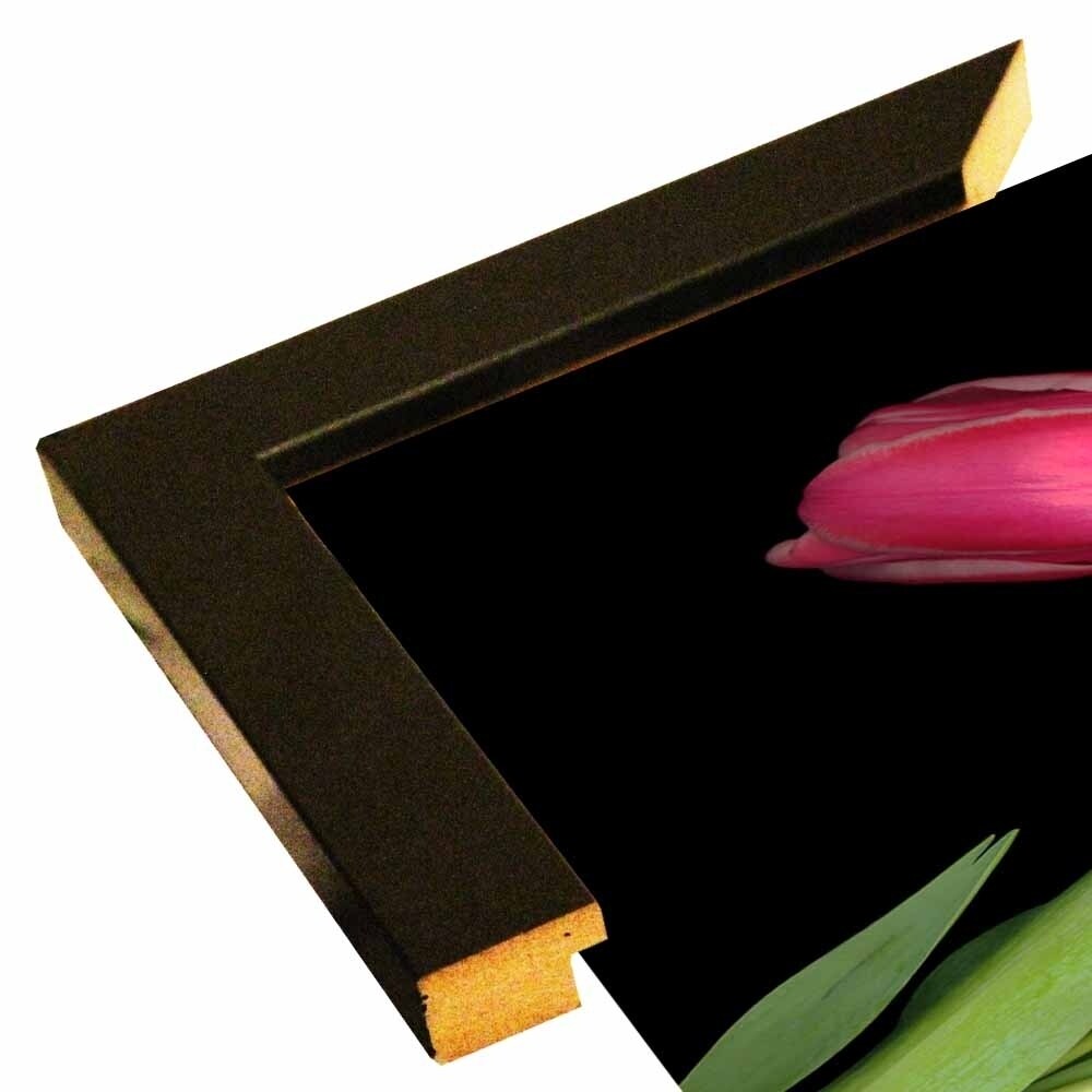 Tulips #3-SUSBAR98750 Print 24"x32" by Susan S. Barmon