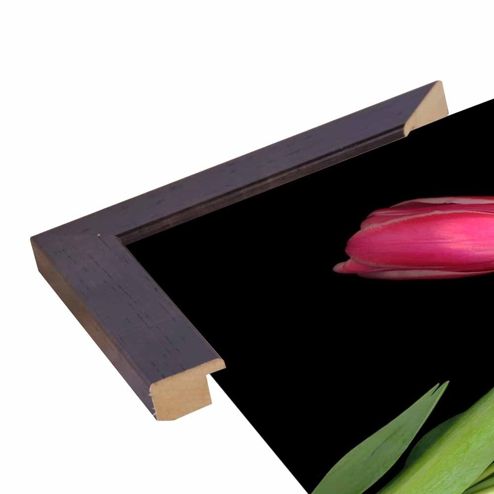 Tulips #3-SUSBAR98750 Print 24"x32" by Susan S. Barmon